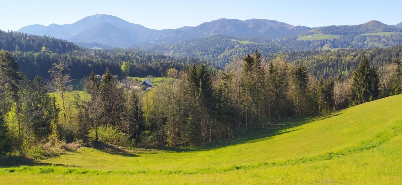 Kmetija Pecnik Apartment Prevalje Luaran gambar