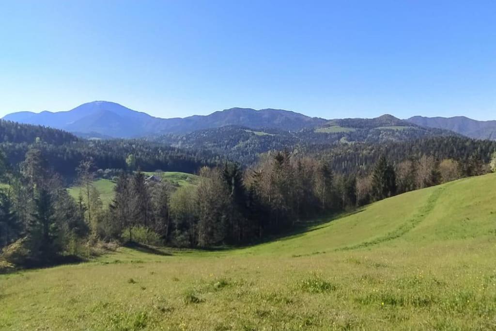 Kmetija Pecnik Apartment Prevalje Luaran gambar